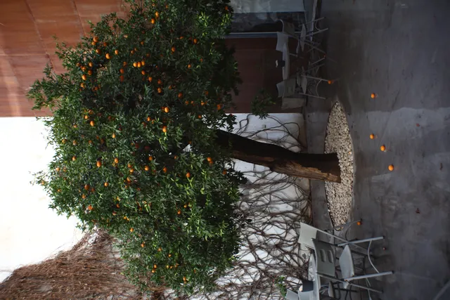 Auto Exaktar EEM 35mm f2.8 ( Minolta MD) - 00002801.webp