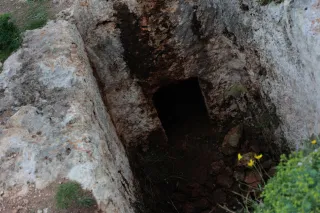 Carl Zeiss Jena DDR Pancolar Electric 50mm f1.8 (M42) - 00004522.webp