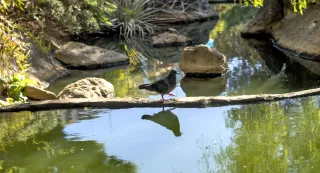 Zenith Helios-77M-4 50mm f1.8 VOMZ (M42) - 00001109.webp