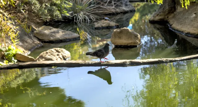 Zenith Helios-77M-4 50mm f1.8 VOMZ (M42) - 00001109.webp