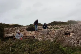 Carl Zeiss Jena DDR Pancolar Electric 50mm f1.8 (M42) - 00004546.webp