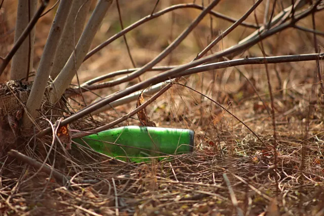 Canon Lens FD 135mm f2.5 S.C. (FD) - 00005267.webp