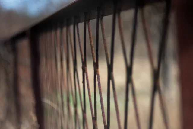 Fujinon 55mm f2.2 (M42) - 00005092.webp