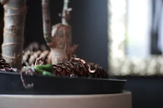 KOWA SUPER PROMINAR-16 50mm f1.2 Eiki 16mm (DIY) - 00003216.webp