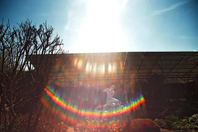 Vivitar Series 1 28-105mm f2.8-3.8 VMC Macro (Olympus OM) - 00005522.webp