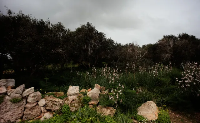 Carl Zeiss Flektogon f4 20mm (m42).md - 00004498.webp