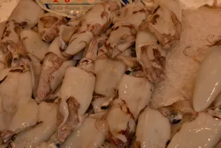 Tamron 28-300mm F3.5-6.3 (EF) - 00000580.webp