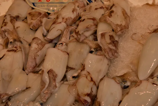 Tamron 28-300mm F3.5-6.3 (EF) - 00000580.webp