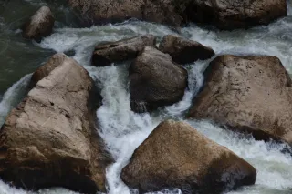 Osawa 135mm f2.8 (Minolta MD) - 00002961.webp