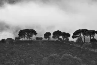 Tamron 28-300mm F3.5-6.3 (EF) - 00001461.webp