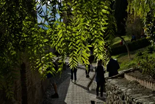 Meyer-Optik Görlitz Primagon 35mm f4.5 (M42) - 00001156.webp