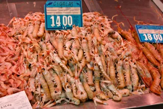 Tamron 28-300mm F3.5-6.3 (EF) - 00000544.webp