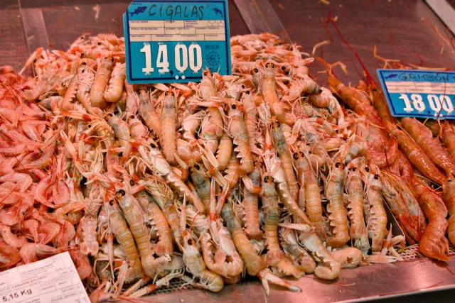 Tamron 28-300mm F3.5-6.3 (EF) - 00000544.webp