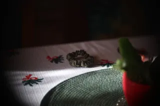 Simplex Ampro Ltd 2.5cala (63.5mm) f1.8 16mm (DIY) - 00002173.webp