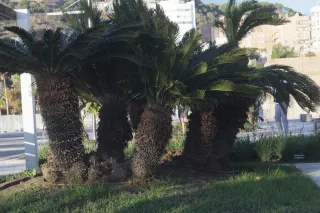 Industar-50-2 50mm f3.5 (M42) - 00002419.webp