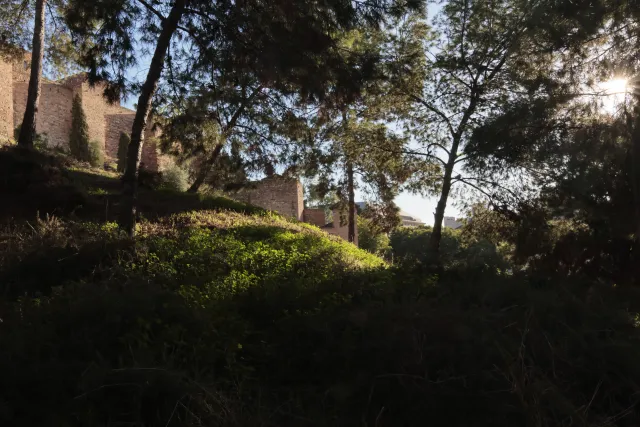 Tokina at-x 116 (EF) - 00002587.webp