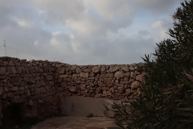 Tamron 28-300mm F3.5-6.3 (EF) - 00004706.webp