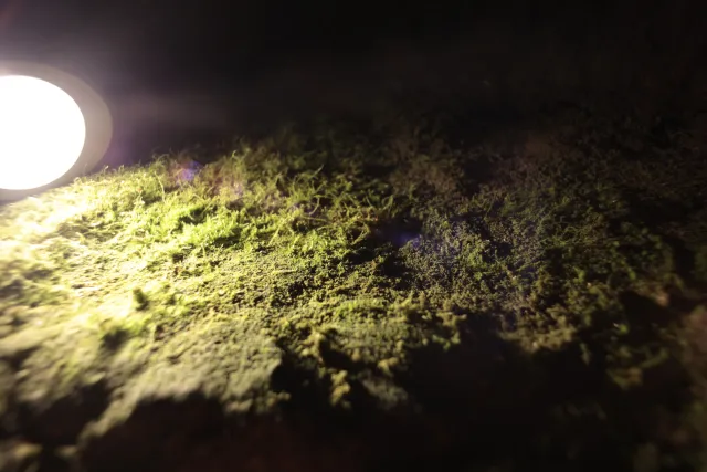 Carl Zeiss Flektogon f4 20mm (m42).md - 00003849.webp