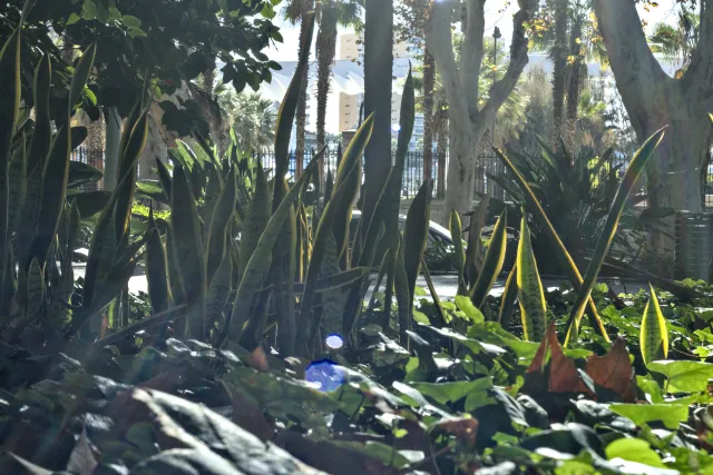 Zenith Helios-77M-4 50mm f1.8 VOMZ (M42) - 00000744.webp