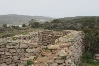 Tamron 28-300mm F3.5-6.3 (EF) - 00004559.webp