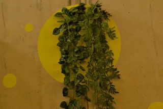 Zenith Helios-77M-4 50mm f1.8 VOMZ (M42) - 00000330.webp