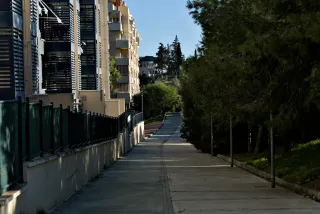 Tamron 28-300mm F3.5-6.3 (EF) - 00000767.webp