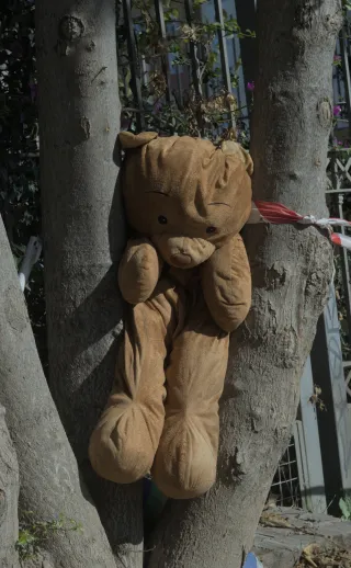 Industar-50-2 50mm f3.5 (M42) - 00000117.webp