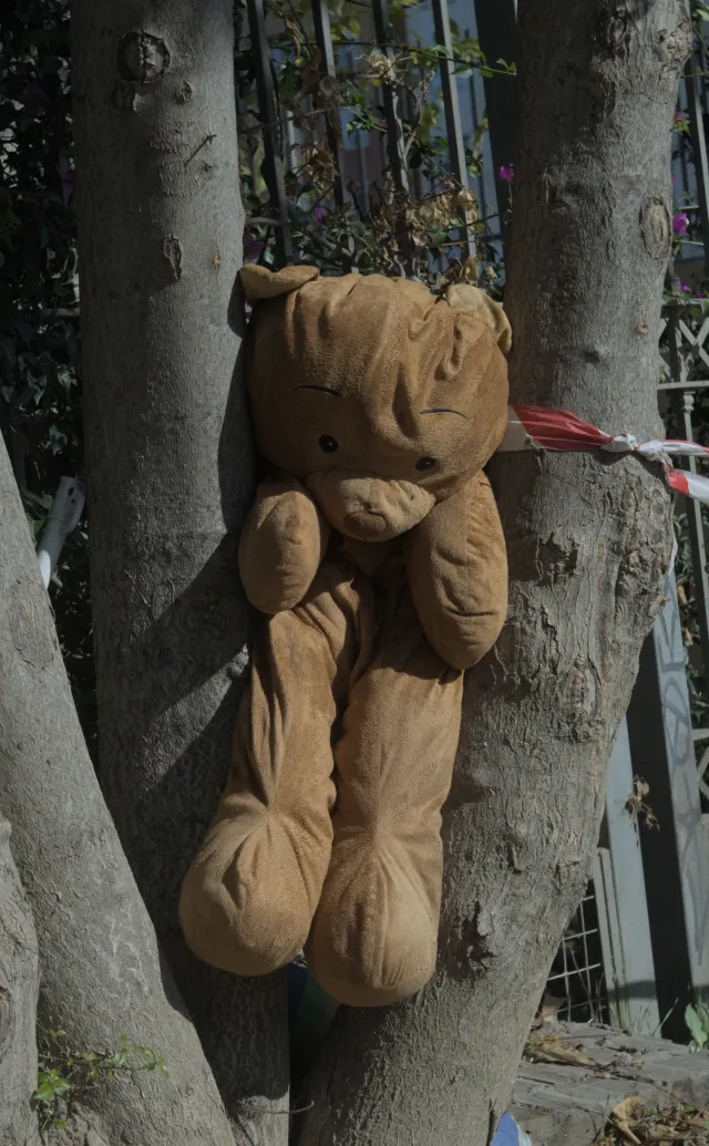 Industar-50-2 50mm f3.5 (M42) - 00000117.webp