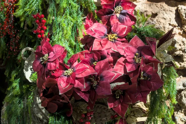 Zenith Helios-77M-4 50mm f1.8 VOMZ (M42) - 00001112.webp