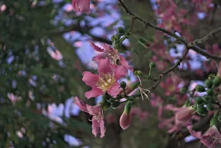 Industar-50-2 50mm f3.5 (M42) - 00002402.webp