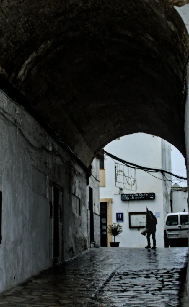 Tamron 28-300mm F3.5-6.3 (EF) - 00001441.webp