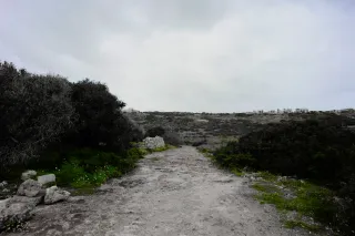 Carl Zeiss Flektogon f4 20mm (m42).md - 00004513.webp