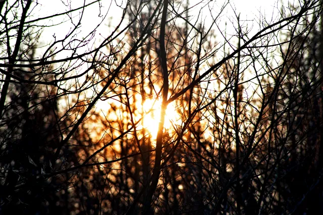 Spiratone Plura-Coat SharpShooter-S 400mm f6.3 (T2-M42) - 00005345.webp