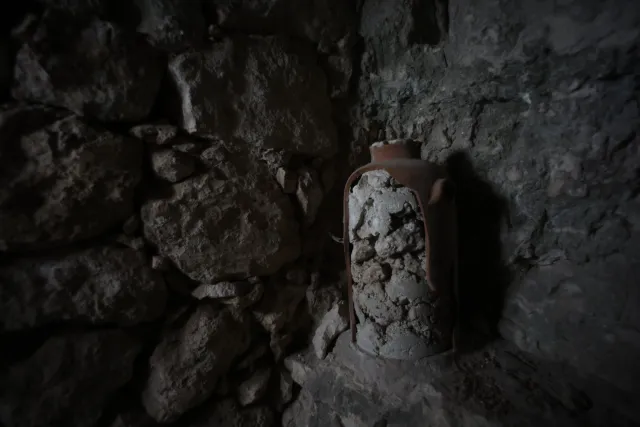 Carl Zeiss Flektogon f4 20mm (m42).md - 00004438.webp