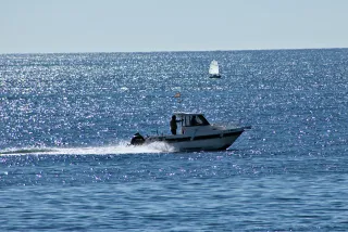 Tamron 28-300mm F3.5-6.3 (EF) - 00001065.webp