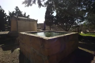 Carl Zeiss Flektogon f4 20mm (m42).md - 00003962.webp