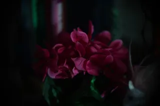 Simplex Ampro Ltd 2.5cala (63.5mm) f1.8 16mm (DIY) - 00002203.webp