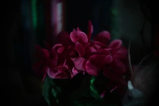 Simplex Ampro Ltd 2.5cala (63.5mm) f1.8 16mm (DIY) - 00002203.webp