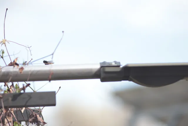 Jupiter-21M 200mm f4 (M42) - 00005649.webp