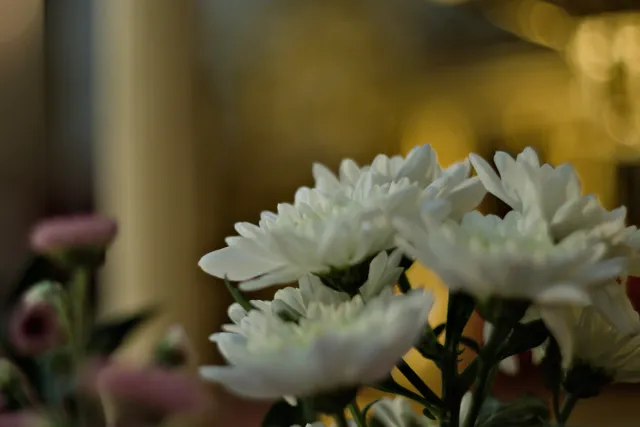 Zenith Helios-77M-4 50mm f1.8 VOMZ (M42) - 00001004.webp