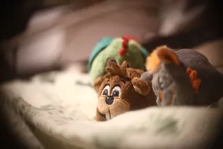 Simplex Ampro Ltd 2.5cala (63.5mm) f1.8 16mm (DIY) - 00002149.webp