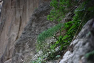 Auto Exaktar EEM 35mm f2.8 ( Minolta MD) - 00003050.webp