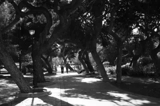 Carl Zeiss Jena DDR Pancolar Electric 50mm f1.8 (M42) - 00003616.webp