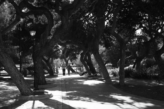 Carl Zeiss Jena DDR Pancolar Electric 50mm f1.8 (M42) - 00003616.webp