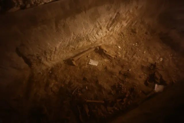 Carl Zeiss Flektogon f4 20mm (m42).md - 00003956.webp