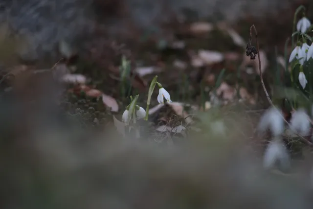 Mamiya-Sekor SX Auto 28mm f2.8 (M42) - 00004897.webp