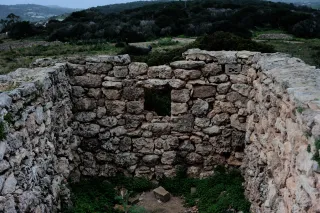 Carl Zeiss Jena DDR Pancolar Electric 50mm f1.8 (M42) - 00004527.webp