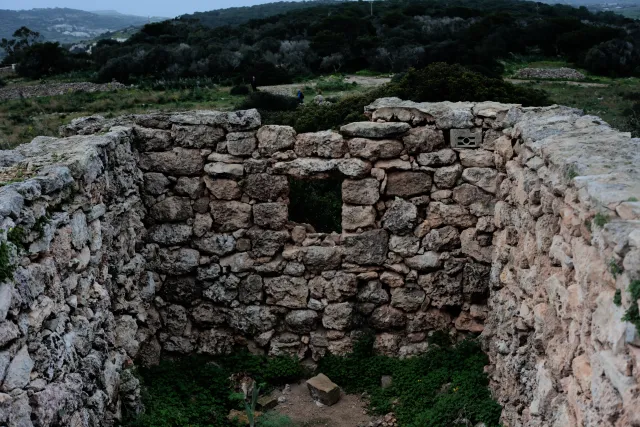 Carl Zeiss Jena DDR Pancolar Electric 50mm f1.8 (M42) - 00004527.webp