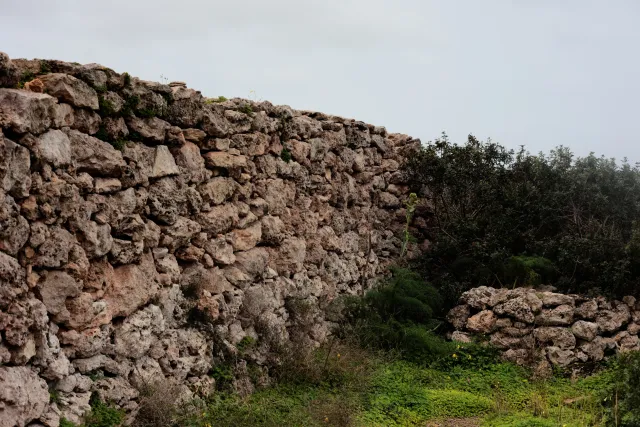 Carl Zeiss Jena DDR Pancolar Electric 50mm f1.8 (M42) - 00004526.webp