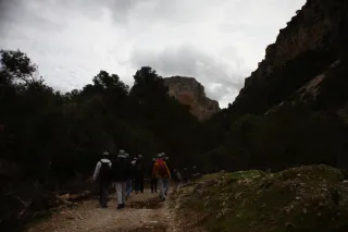 Auto Exaktar EEM 35mm f2.8 ( Minolta MD) - 00003005.webp